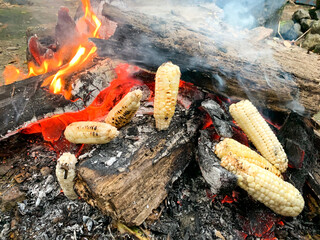 grill and roasted corn traditionally.