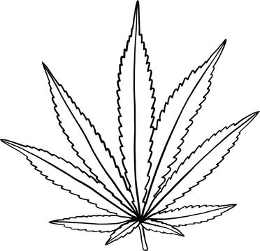 weed outline