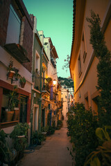 Fototapeta na wymiar alley in Spain