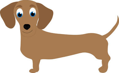 dachshund dog 