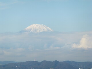 相模湾と富士山