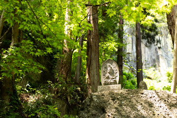 林と仏像