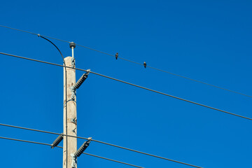 Electrical pole with wiring and a couple of birds
