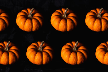High quality photography. Repeating pattern of many pumpkins on a black isolated background. Pumpkin design for different design applications, templates etc.