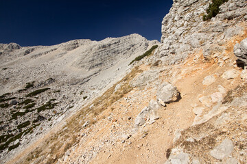 trail in the mountains