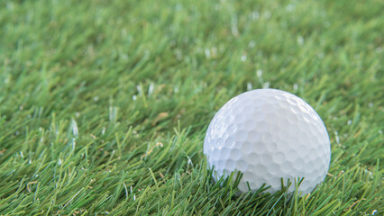 ゴルフボール