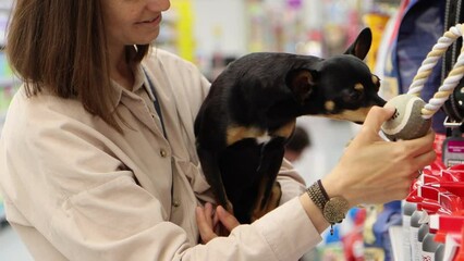 Young cheerful woman with little toy terrier is shopping in pet department of supermarket. Goods for animals. Owner is choosing toy for pet.