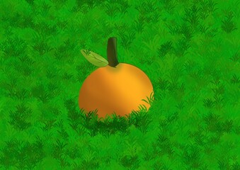 pumpkin on green grass