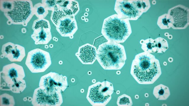 Large and small virus cells move slowly on a pale green background.