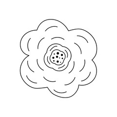 Hand drawn flower in line art doodle style. Botanical decorative element.