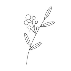 Hand drawn twig with berries in line art doodle style. Botanical decorative element.