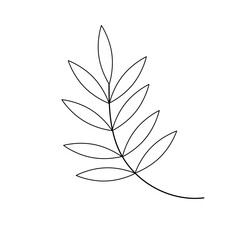 Hand drawn twig in line art doodle style. Botanical decorative element.