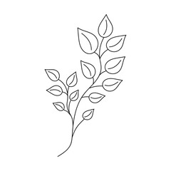 Hand drawn twig in line art doodle style. Botanical decorative element.