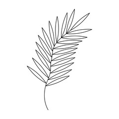 Hand drawn twig in line art doodle style. Botanical decorative element.