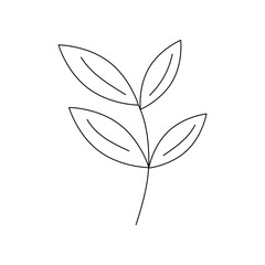 Hand drawn twig with leaves in line art doodle style. Botanical decorative element.
