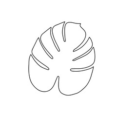 Hand drawn monstera leaf in line art doodle style. Botanical decorative element.