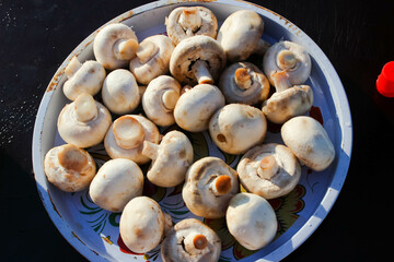 Many porcini mushrooms champignons in a metal plate