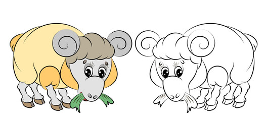 Vector image of a cute ram on a white background.
 Color and black and white image, coloring book for children.