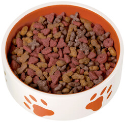 Dog Bowl with Dry Food Isolated