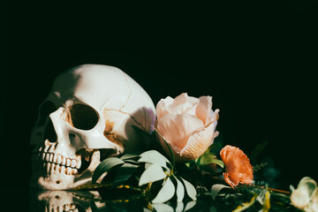 Human skull and flowers. Day of the dead, Dia de los muertos character.