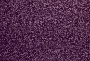 Beautiful bright eco-leather, animal skin texture in purple color, close-up as a background.