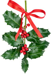Cute holly leaves and berries, christmas decoration isolated on white background