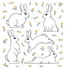 Fototapeta na wymiar Set of drawn rabbits and simple flowers. Vector black and white illustration.
