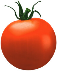 Red Tomato