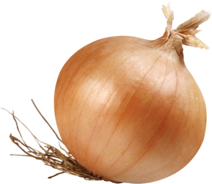 Vidalia onion