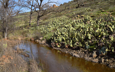 Lake Eleanor Open Space, v