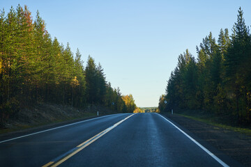 Naklejka premium Highway through the autumn forest. Autumn forest highway