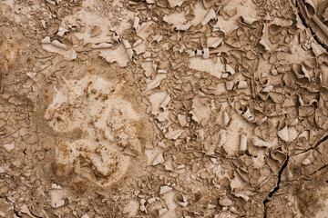 Brown rusty grunge background. Abstract texture of dry clay ground with cracks on earth soil