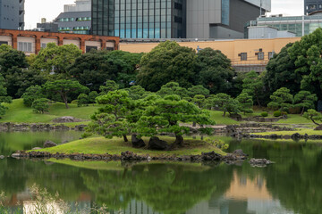 Fototapeta na wymiar Island in a small pond near by Tokyo bay 