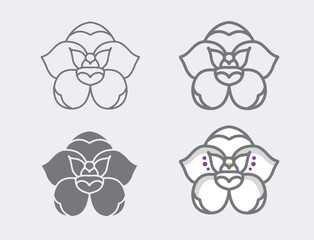 VECTORS. Editable icons of white orchids known as Holy Ghost orchids, dove orchids or flowers of the Holy Spirit