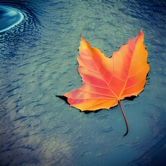 autumn, fall, leaf,creative,water,flow,twirl,background,twirl,warm