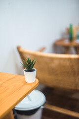 Bonsai plant on wooden table