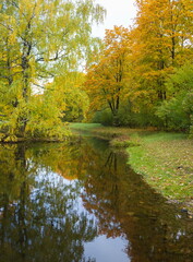 Fototapeta na wymiar Autumn day in the park. Gold autumn. Trees and lake.