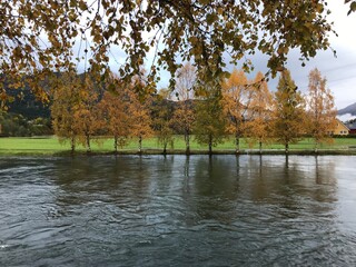 autumn in the park