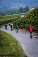 Fototapeta premium Promenade a velo dans la campagne