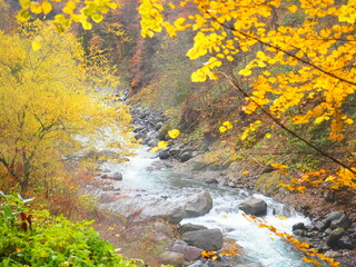 北海道の絶景 秋の天人峡温泉紅葉風景