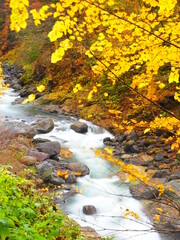 北海道の絶景 秋の天人峡温泉紅葉風景