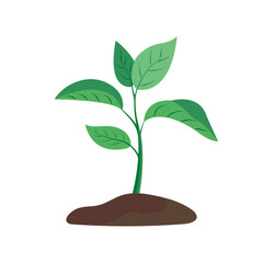 Obraz na płótnie Canvas Green sprout grows from the ground. It symbolizes life and ecology. Vector illustration on white background