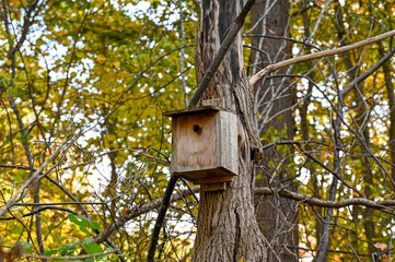 bird house on tree trunk in forest
