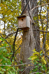 bird house on tree trunk in forest