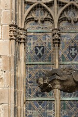 Gargoyle in the Cathedral of Barcelona in the Gothic Quarter, Barcelona (Spain).