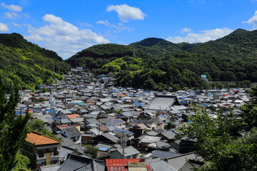 Fototapeta premium 寺のある町