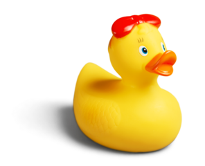 Toy yellow isolated rubber rubber duck rubber ducky bath toy