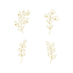 Collection of leaves and flowers in line style. Elegant beauty decorative illustration for vector element design