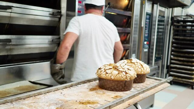 pastry chef quick picking ready panettone from oven, for cooling hang upside down