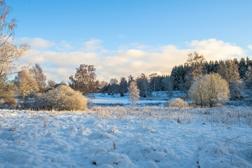 Winter landscape with snow and hoarfrost